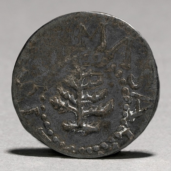Massachusetts Pine Tree threepence, tree side — the Cleveland Museum of Art's example (1940.441), attributed to silversmith Robert Sanderson. The museum does not state its Noe die variety; the FLOAT constituent's guide value is for the Noe-36 'No Pellets' variety at PCGS AU55.
